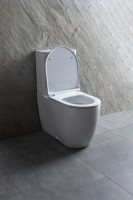 Унитаз-компакт напольный Allen Brau Priority 4.31003.20 безободковый, с микролифтом, белый