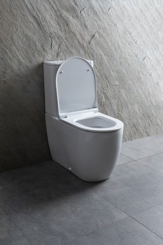 Унитаз-компакт напольный Allen Brau Priority 4.31003.20 безободковый, с микролифтом, белый