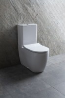 Унитаз-компакт напольный Allen Brau Priority 4.31003.20 безободковый, с микролифтом, белый