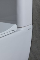 Унитаз-компакт напольный Allen Brau Priority 4.31003.20 безободковый, с микролифтом, белый