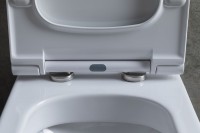 Унитаз-компакт напольный Allen Brau Priority 4.31003.20 безободковый, с микролифтом, белый