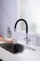 Смеситель для кухни Paulmark Salix 213419-CR хром, черный, с гибким изливом