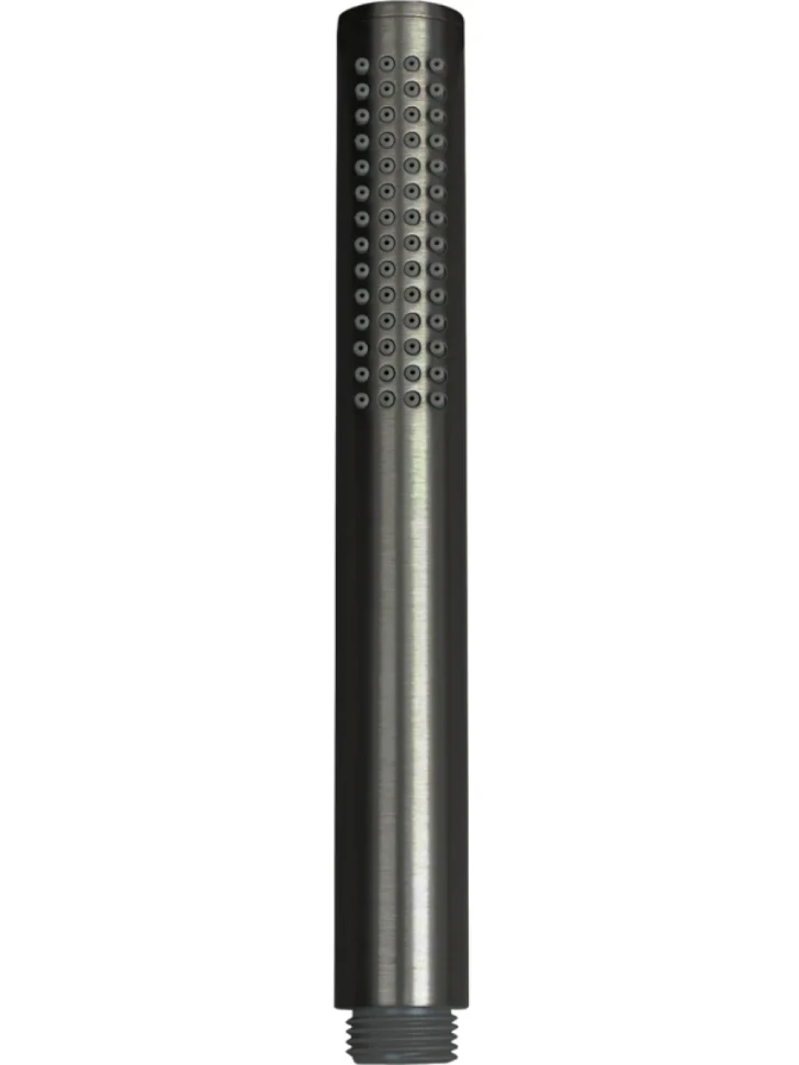 Душевая лейка Allen Brau Priority 5.31020-MG графит