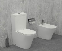 Унитаз-компакт напольный Jacob Delafon Rodin+ UJAB102-00