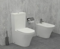 Унитаз-компакт напольный Jacob Delafon Rodin+ UJAB102-00 Унитаз-компакт напольный Jacob Delafon Rodin+ UJAB102-00