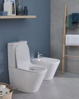 Унитаз-компакт напольный Jacob Delafon Rodin+ UJAB102-00