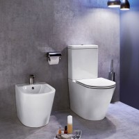 Унитаз-компакт напольный Jacob Delafon Rodin+ UJAB102-00