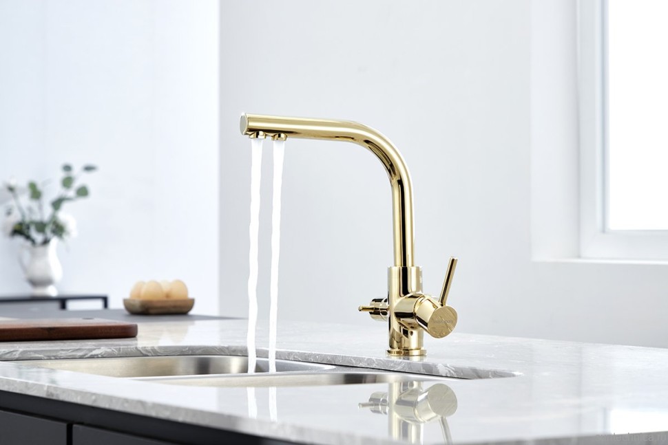 Смеситель для кухни Paulmark Essen Es213011-G золото