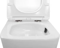 Унитаз подвесной BelBagno Ardente-R BB520CH-TOR безободковый, крышка BB3103/3106SC с микролифтом
