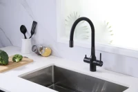 Смеситель для кухни Paulmark Salix Sa213419-BLM с гибким изливом, черный