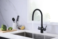Смеситель для кухни Paulmark Salix Sa213419-BLM с гибким изливом, черный