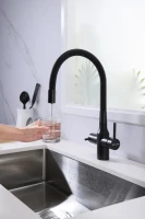 Смеситель для кухни Paulmark Salix Sa213419-BLM с гибким изливом, черный