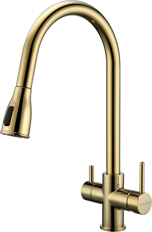Смеситель для кухни Paulmark Lange 214212-G, золото