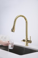 Смеситель для кухни Paulmark Lange 214212-G, золото