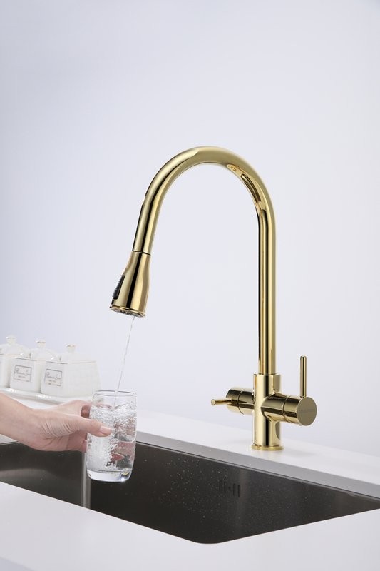 Смеситель для кухни Paulmark Lange 214212-G, золото