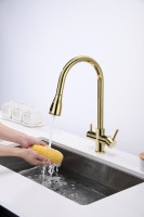 Смеситель для кухни Paulmark Lange 214212-G, золото