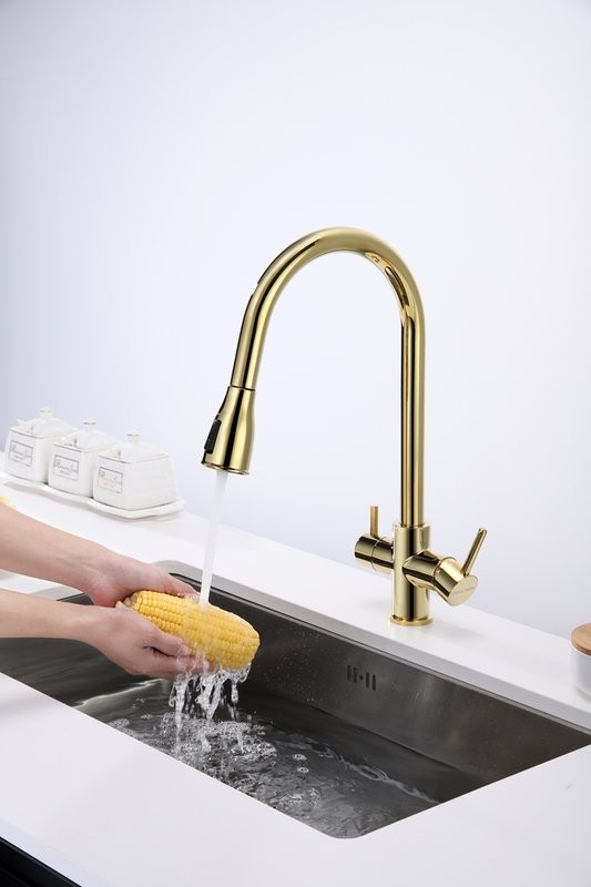 Смеситель для кухни Paulmark Lange 214212-G, золото