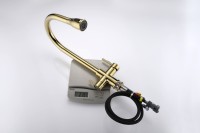 Смеситель для кухни Paulmark Lange 214212-G, золото