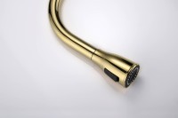 Смеситель для кухни Paulmark Lange 214212-G, золото