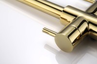 Смеситель для кухни Paulmark Lange 214212-G, золото
