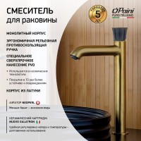 Смеситель для раковины Paini Domus 18PJ205PZLL брашированное золото