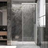 Дверь для душевого уголка Veconi Premium Trento PTD-30CH 120 см, профиль хром, стекло прозрачное