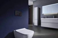 Кнопка смыва для унитаза AZARIO AZ-8200-0013 пластик, цвет матовый черный