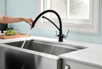 Смеситель для кухни Paulmark Siegen Si213111-308 с гибким изливом