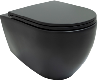 Унитаз подвесной Allen Brau Reality 4.32006.31 безободковый, с микролифтом, матовый черный