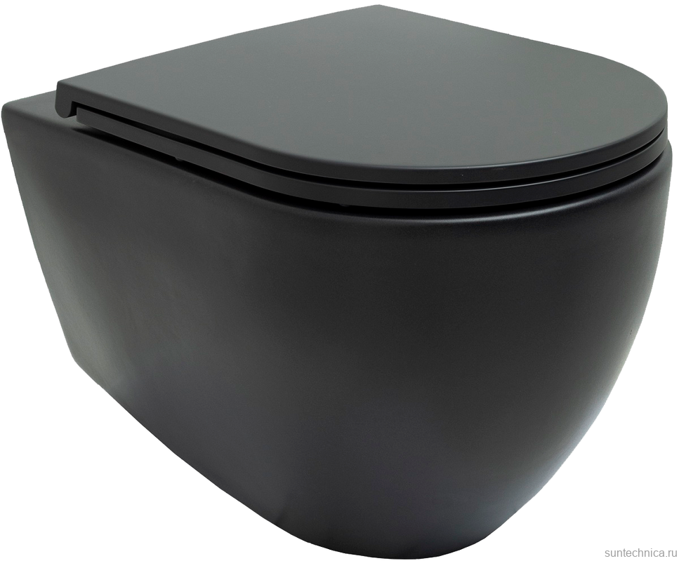 Унитаз подвесной Allen Brau Reality 4.32006.31 безободковый, с микролифтом, матовый черный