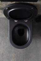 Унитаз подвесной Allen Brau Reality 4.32006.31 безободковый, с микролифтом, матовый черный