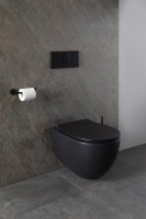 Унитаз подвесной Allen Brau Reality 4.32006.31 безободковый, с микролифтом, матовый черный