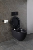 Унитаз подвесной Allen Brau Reality 4.32006.31 безободковый, с микролифтом, матовый черный