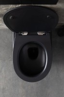 Унитаз подвесной Allen Brau Reality 4.32006.31 безободковый, с микролифтом, матовый черный