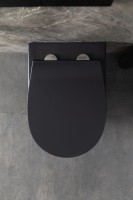 Унитаз подвесной Allen Brau Reality 4.32006.31 безободковый, с микролифтом, матовый черный