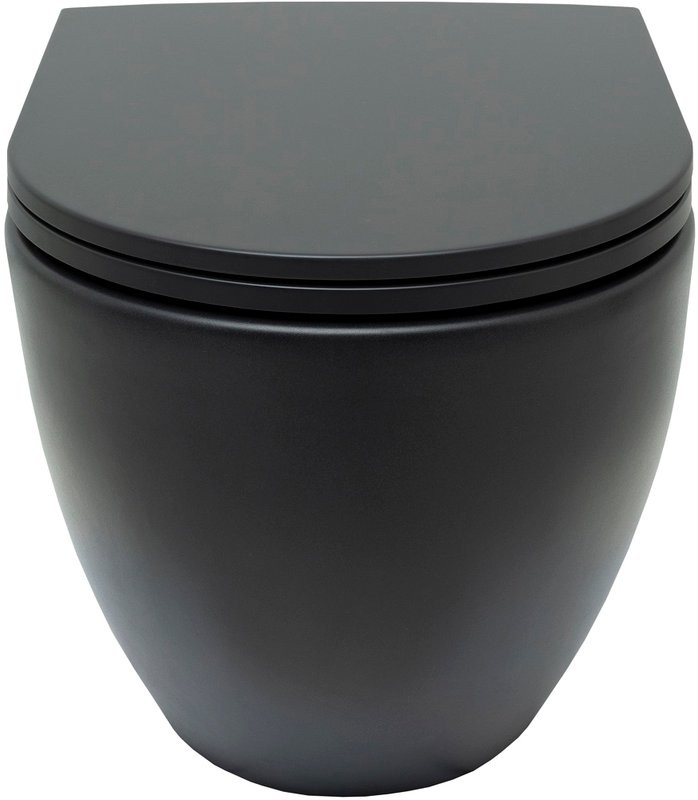 Унитаз подвесной Allen Brau Reality 4.32006.31 безободковый, с микролифтом, матовый черный