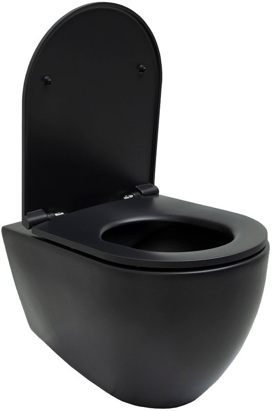 Унитаз подвесной Allen Brau Reality 4.32006.31 безободковый, с микролифтом, матовый черный