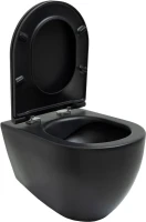 Унитаз подвесной Allen Brau Reality 4.32006.31 безободковый, с микролифтом, матовый черный