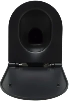 Унитаз подвесной Allen Brau Reality 4.32006.31 безободковый, с микролифтом, матовый черный