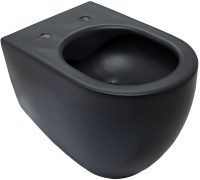 Унитаз подвесной Allen Brau Reality 4.32006.31 безободковый, с микролифтом, матовый черный