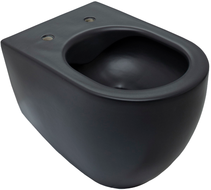 Унитаз подвесной Allen Brau Reality 4.32006.31 безободковый, с микролифтом, матовый черный
