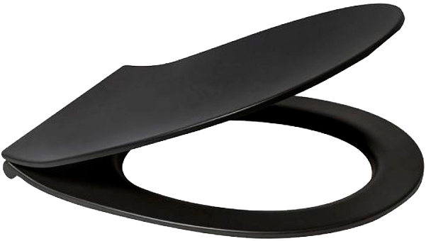 Унитаз подвесной Allen Brau Reality 4.32006.31 безободковый, с микролифтом, матовый черный