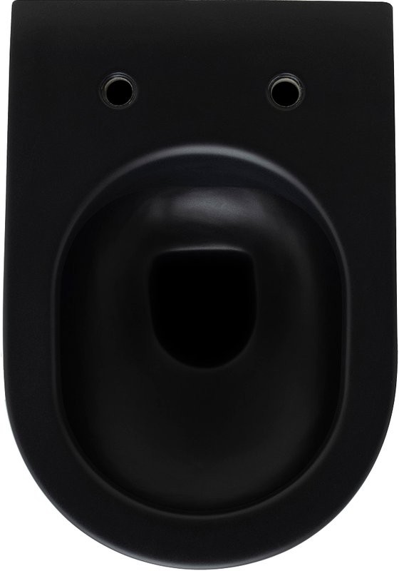 Унитаз подвесной Allen Brau Reality 4.32006.31 безободковый, с микролифтом, матовый черный