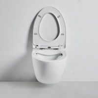 Унитаз подвесной BOND Oval F05-10 безободковый, с микролифтом