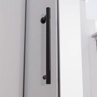 Душевая дверь в нишу Veconi Premium Alassio BB 120x200, профиль матовый черный, стекло тонированное