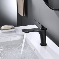 Смеситель для раковины Shevanik S9101H черный