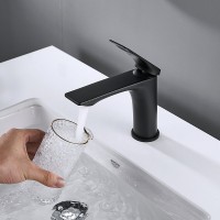 Смеситель для раковины Shevanik S9101H черный