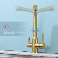 Смеситель для кухни с подключением фильтра Raglo R81.61.03, золотой сатин
