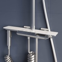 Душевая стойка RGW Shower Panels SP-35 хром