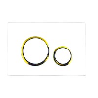 Кнопка смыва для унитаза AZARIO AZ-8200-0046 пластик, цвет глянцевый белый, золото